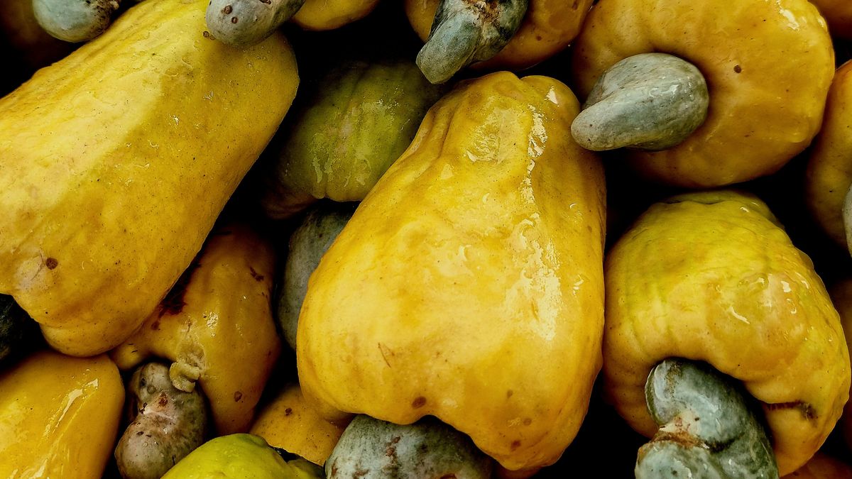 Fresh cashew apples
