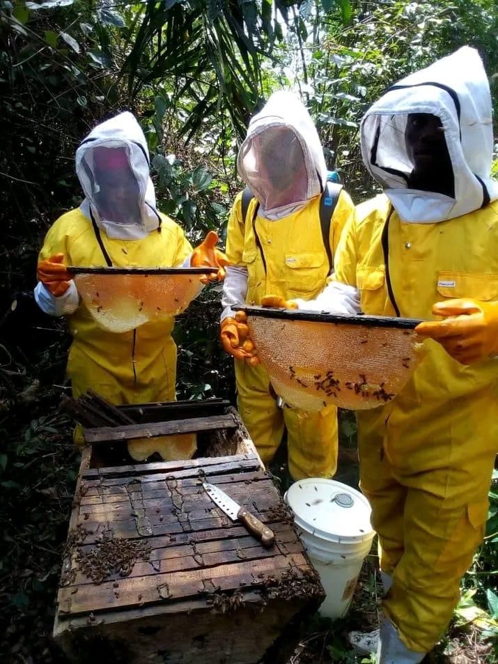 WAFI beekeepers at the hives