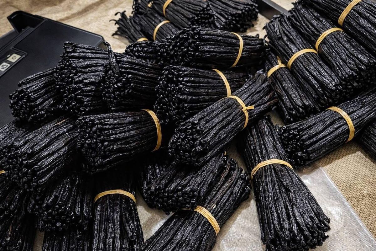 Cured West African vanilla beans